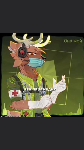 флуд animalhospital