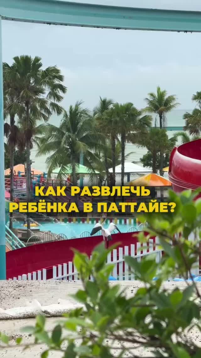 Как развлечь ребенка в Паттайе?