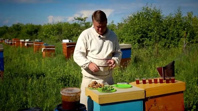 Медовуха домашняя простой рецепт приготовления