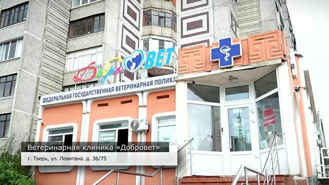 Стартовала осенняя кампания по вакцинации домашних животных
