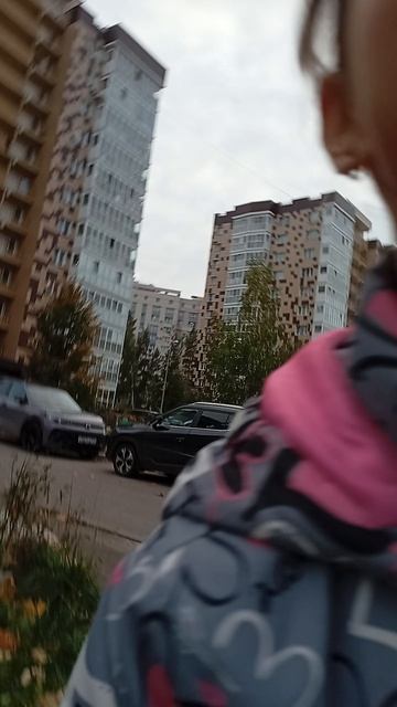 Мира сошла сума
