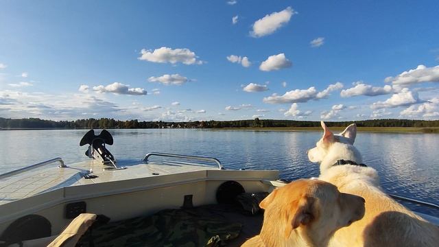 Лодочный мотор Evinrude 99-15 и лодка Страйкер Х42  озеро Нюк