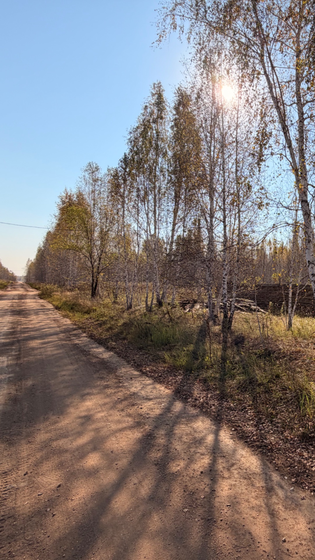 Земельный участок д. Осиновка
