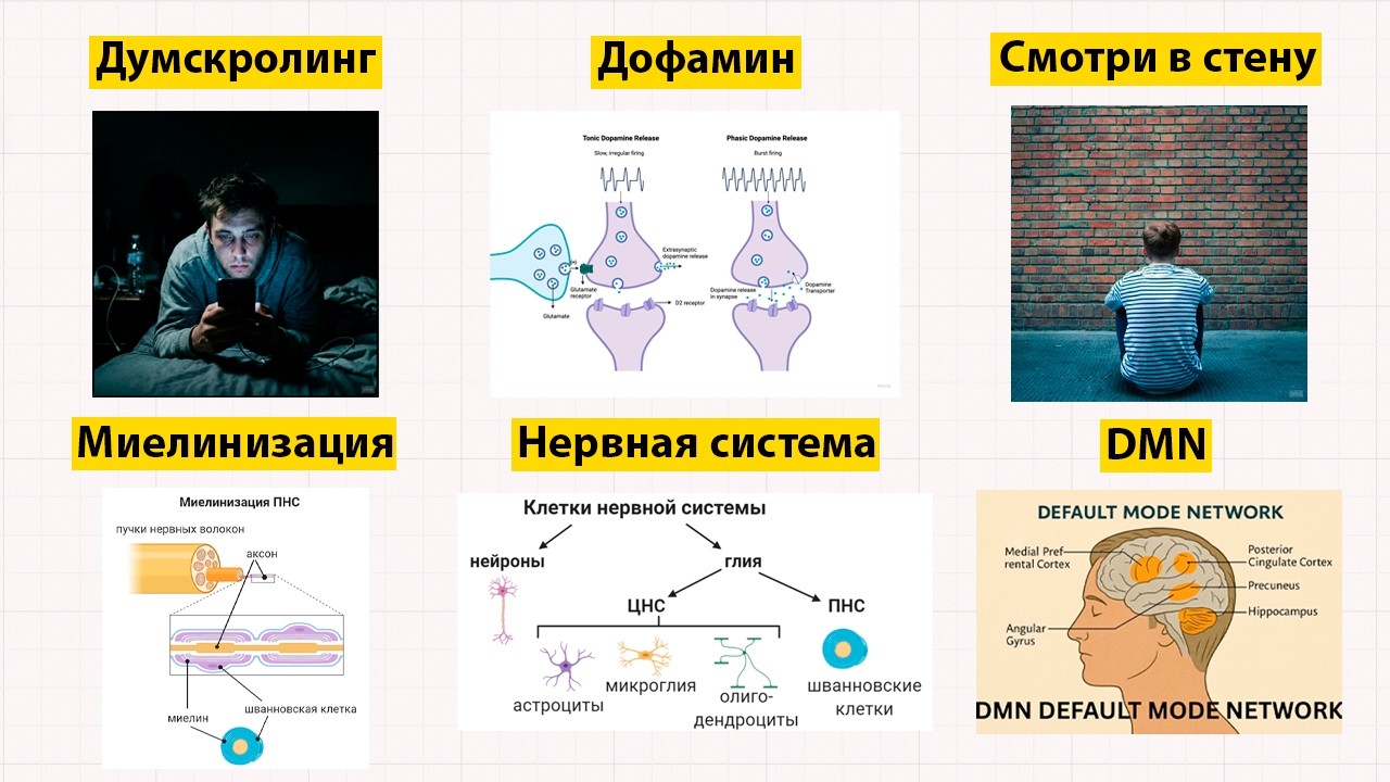Это скучно но это навсегда избавит тебя от деградации