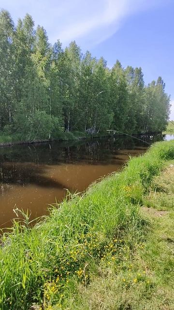 Главное душою отдохнуть, а застряли вообще пофиг!!)) #evacuation