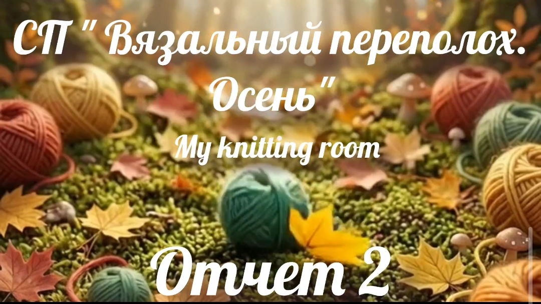 СП Вязальный переполох. Осень. Отчет 2.