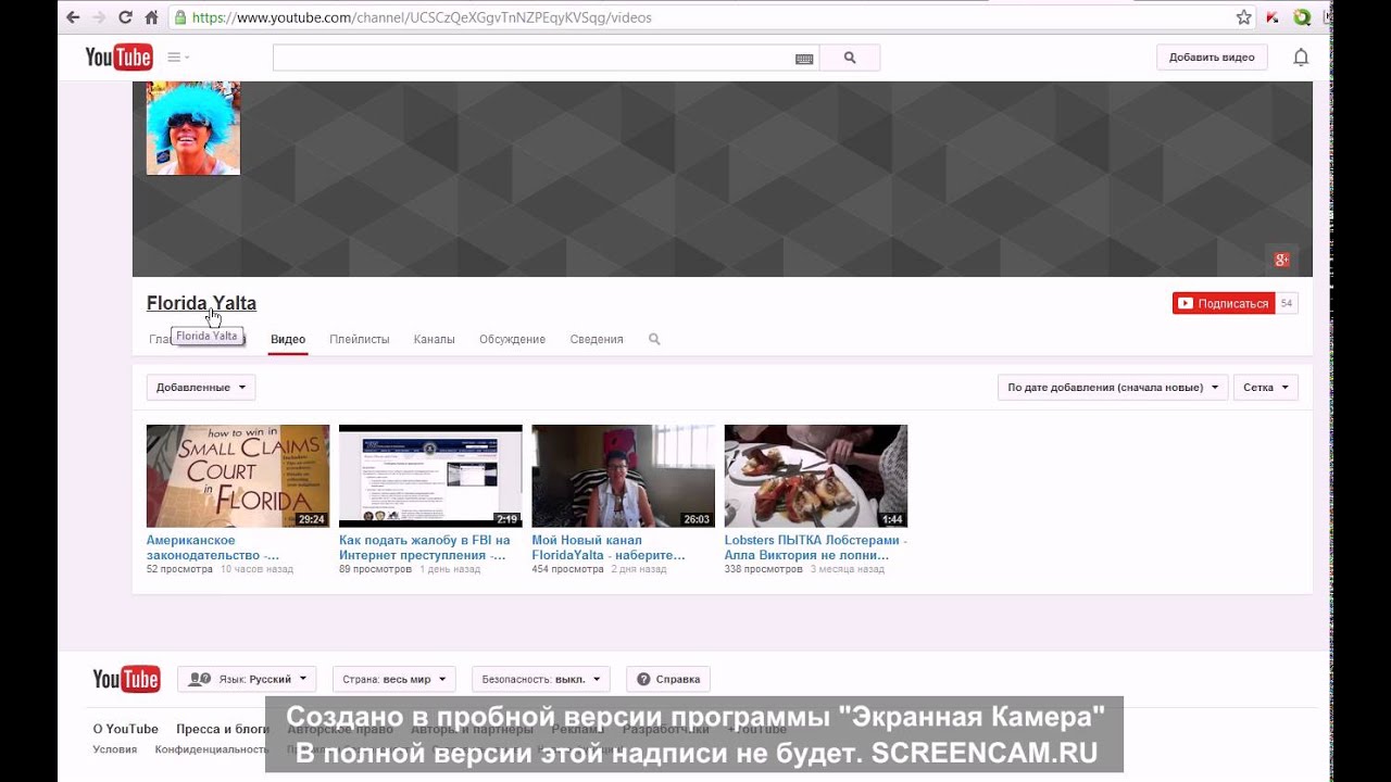 Скандал на YouTube Защитим Людмилу и ее канал 25 08 2014