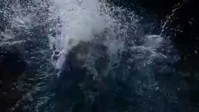 Warrior (2026) — Trailer