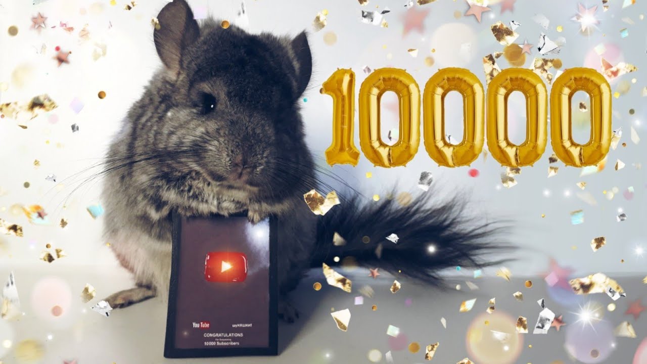 10 000 ПОДПИСЧИКОВ! УРА! СПАСИБО!