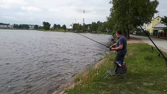 а вчера поймали три подлещика