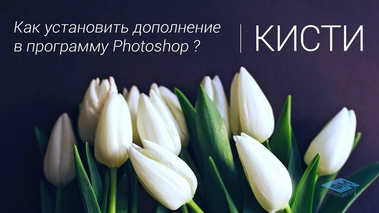 Как установить дополнения в программу Photoshop  КИСТИ