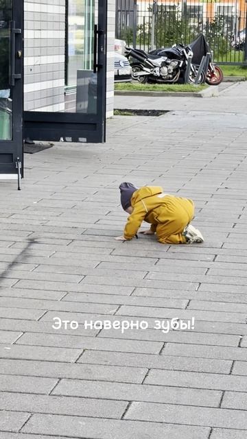 Зубы конечно зубы.
