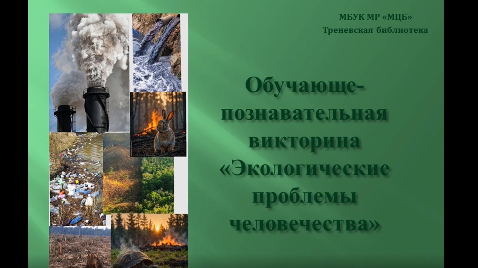 Обучающе-познавательная викторина Экологические проблемы человечества