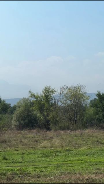 Шалушка F 145034406