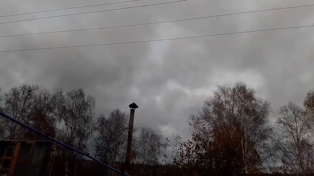 Падают не только вороны, но и вражеские дроны!