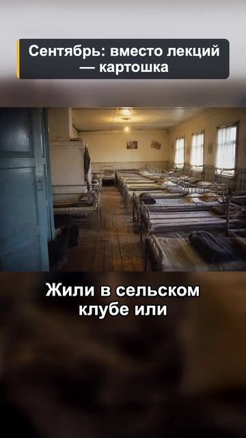 На картошку в сентябре