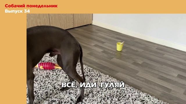 ЭКСПЕРИМЕНТ ПРОВАЛЕН?