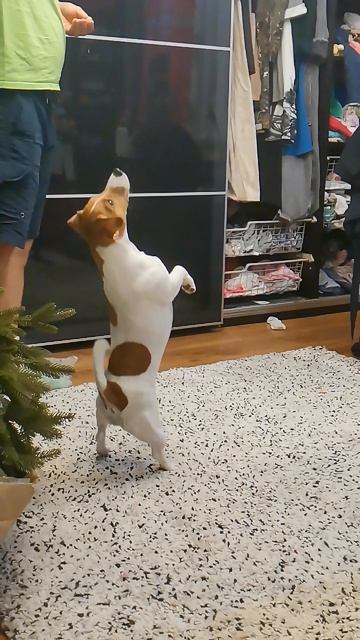 SL_MO_VID_20260831_213449.mp4