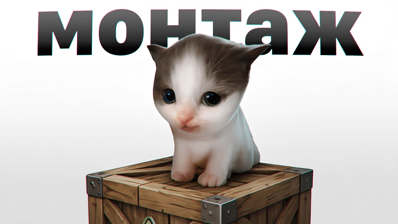 Я повторил Монтаж Вилли