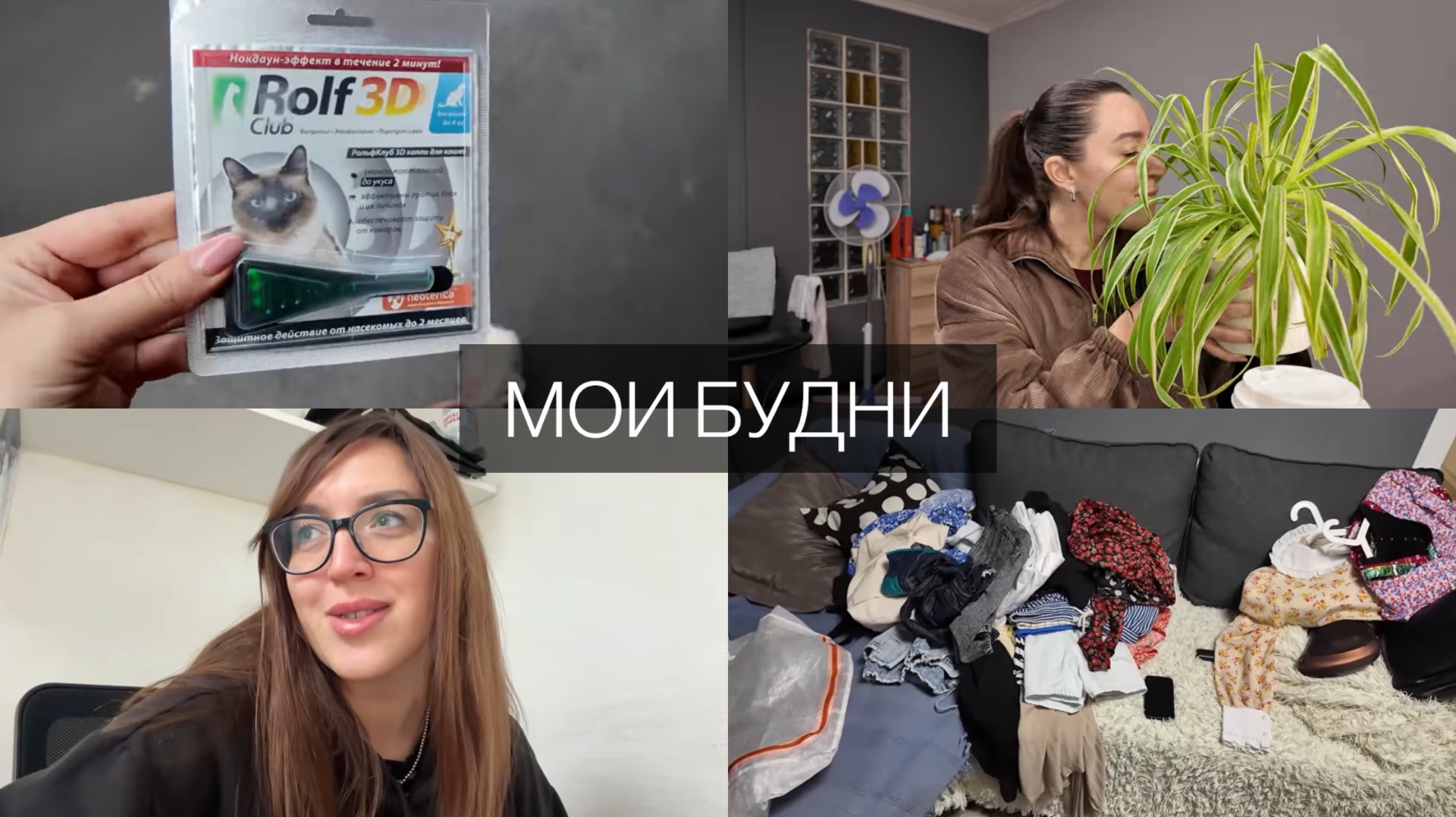Верю в корицу и каштаны?