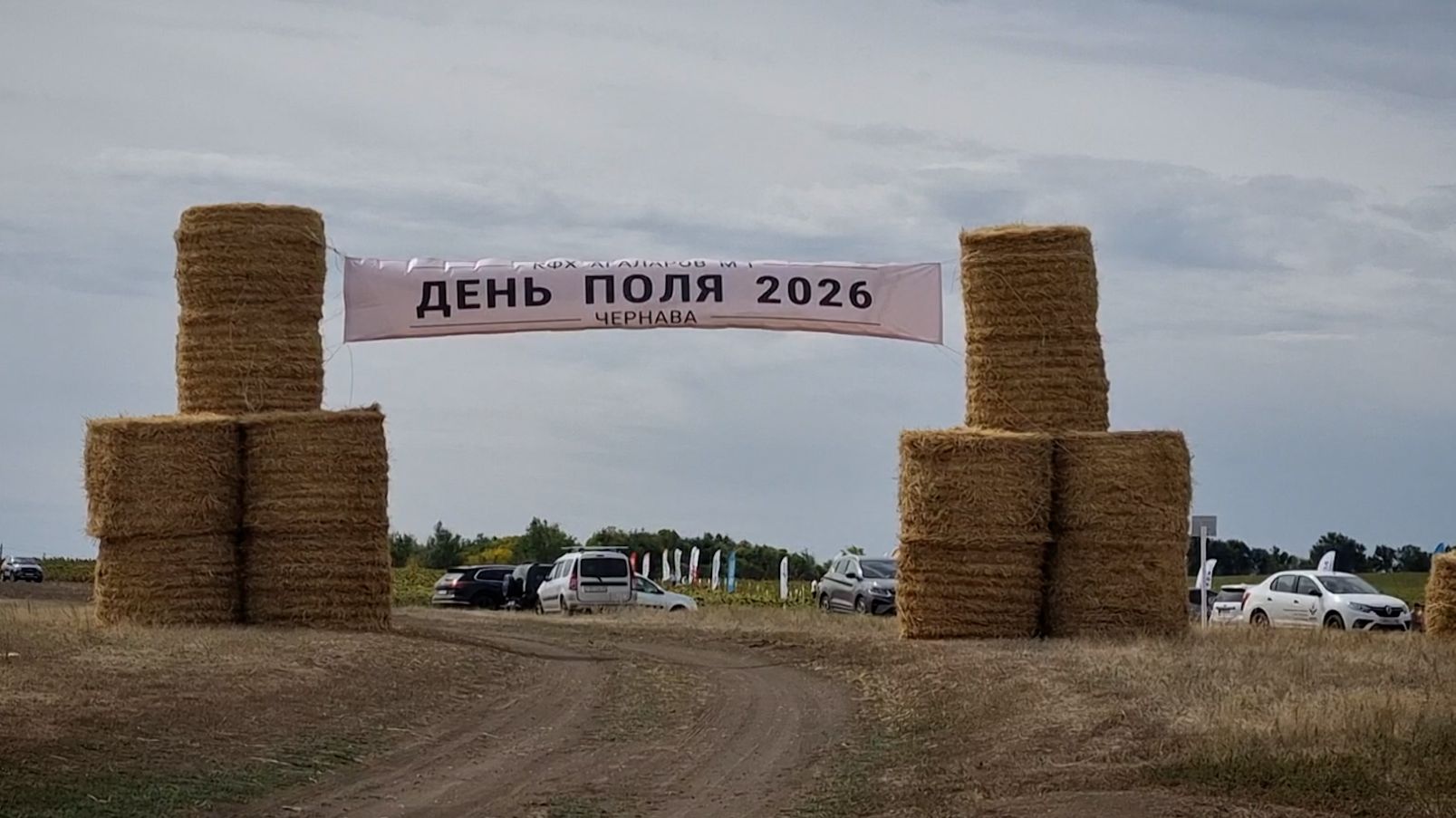 День поля в Чернаве