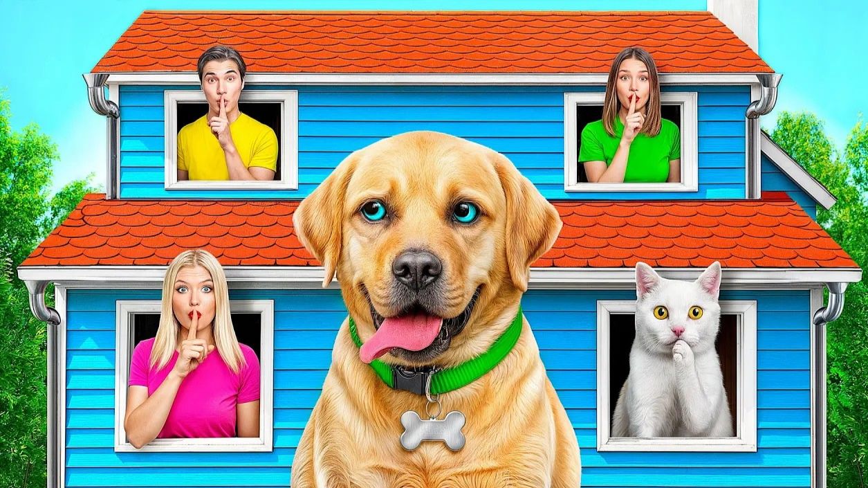 Экстремальные прятки Челлендж с Собакой от Multi DO Smile