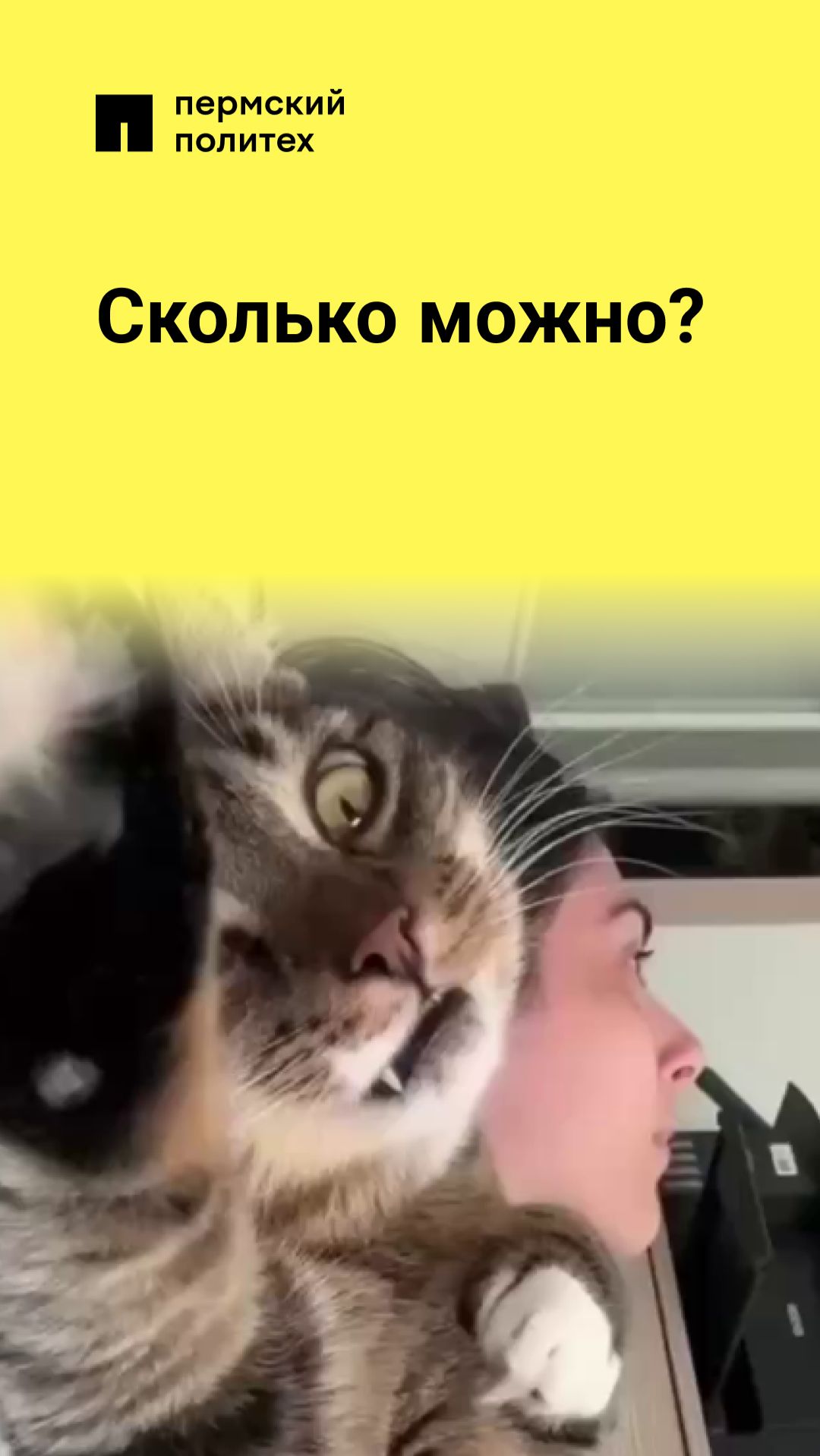 Сколько можно?