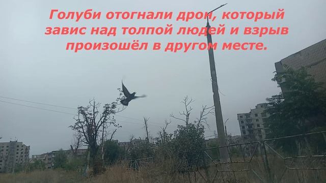 По дорогам жизни... Братская помощь - Сентябрь 2026