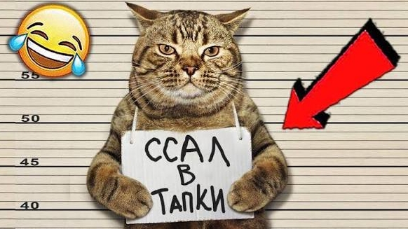 ЮМОР И ПРИКОЛЫ 