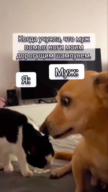 Держись мужик