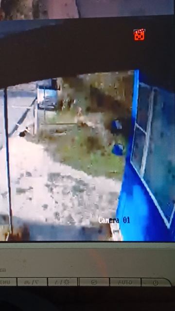 1000004999.mp4