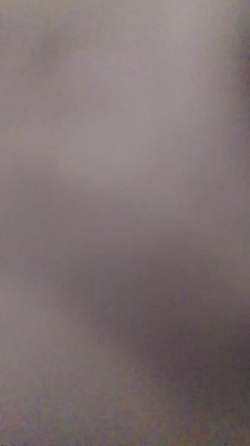 1496.mp4