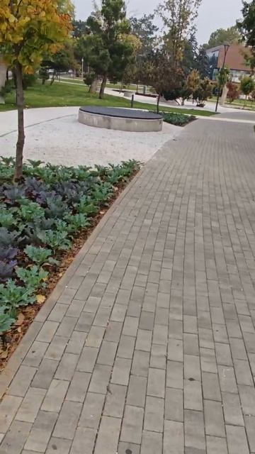 Темрюк ПаркПушкина 27.09.26