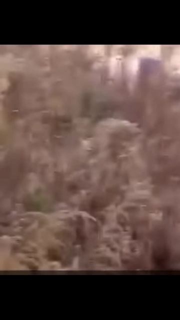 Angry Humor shorts 6 angryhumor funny memes fails comedy funnymoments
