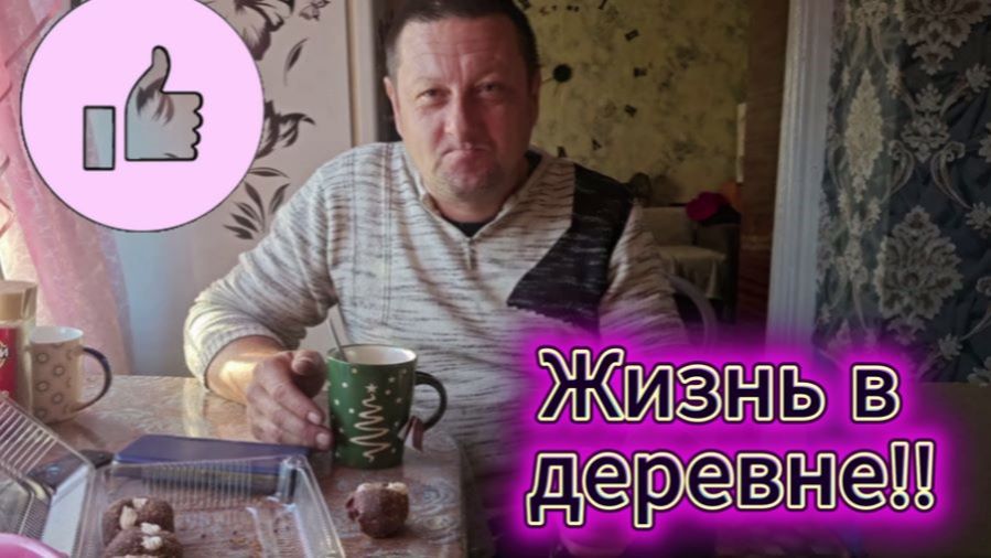 Жизнь в деревне.Нам накрутили подписчиков.Ставим электропастух для гусей .