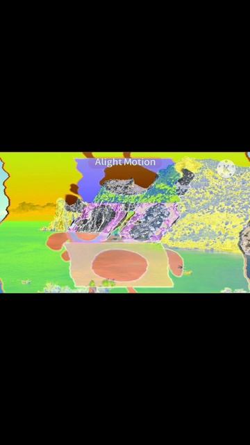 1000011389.mp4