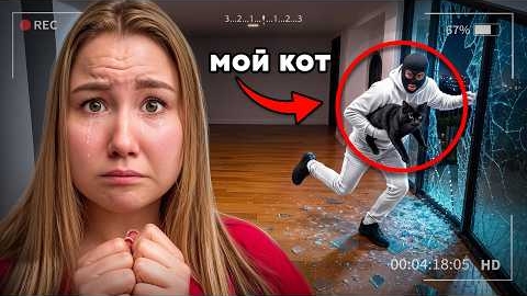 Мой КОТ поймал БАНДИТА !
