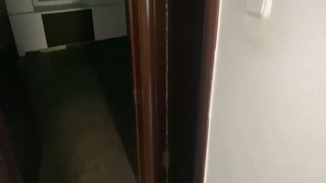 1000083101.mp4