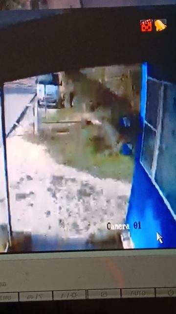 1000005000.mp4