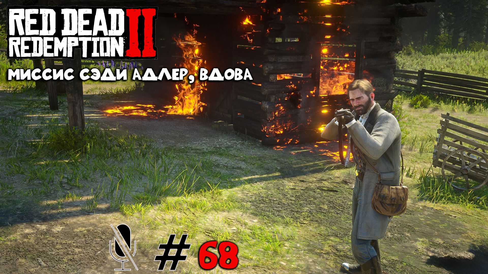 Red Dead Redemption 2  Часть 6:Миссис Сэди Адлер вдова
