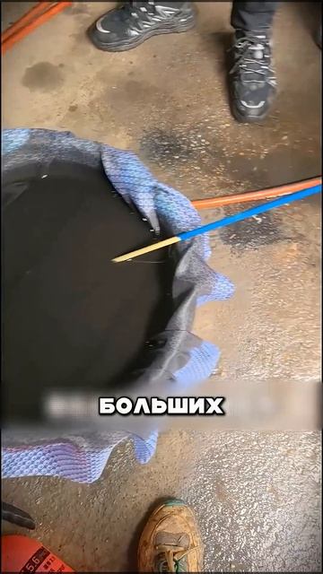 Все говорили сумасшедший  он купил пепел за годовую зарплату