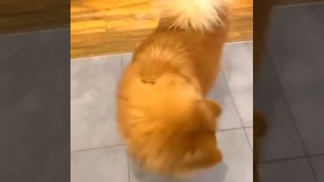 Внимательность это не моё 