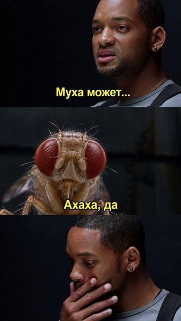 муха.. shorts youtubeshorts  viral trending humor comedy lol