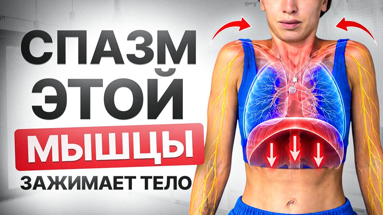Как СТРЕСС влияет на живот диафрагму и тазовое дно? 3 ПРИЕМА которые это исправят