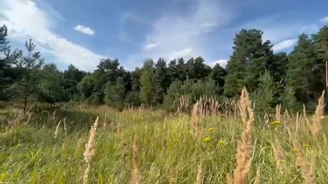 д Новочеркасское