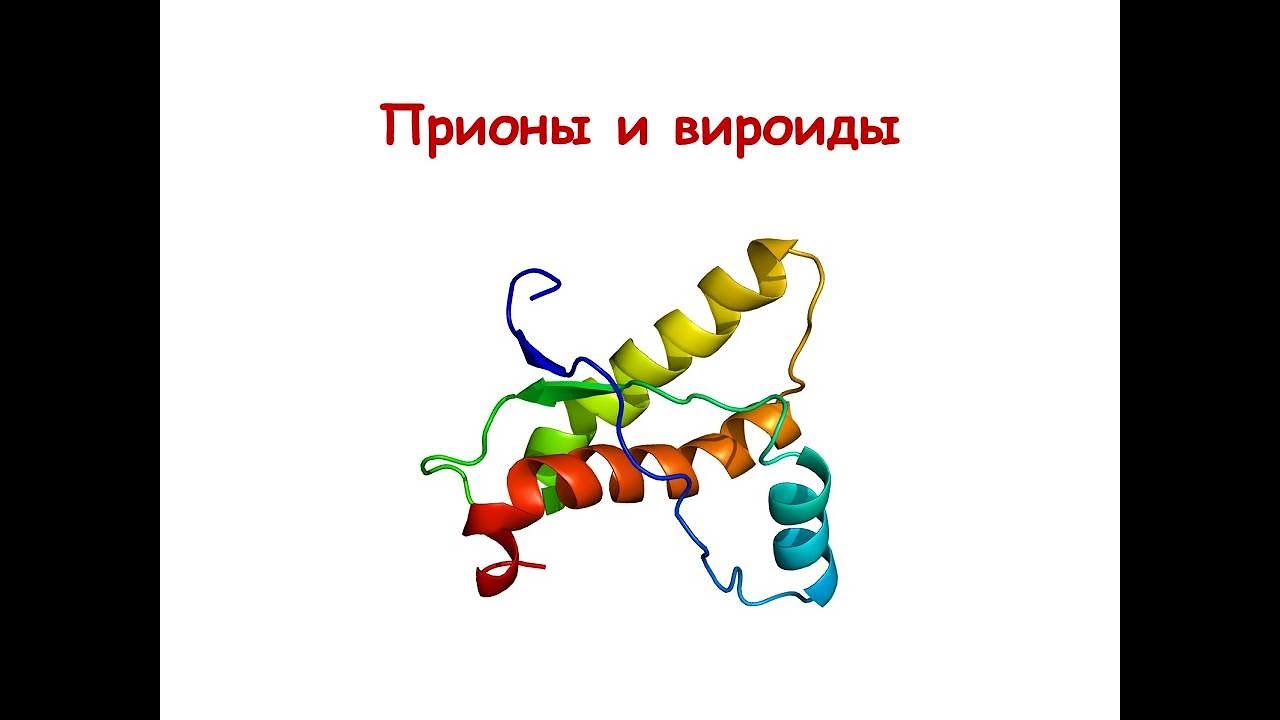 Прионы и вироиды
