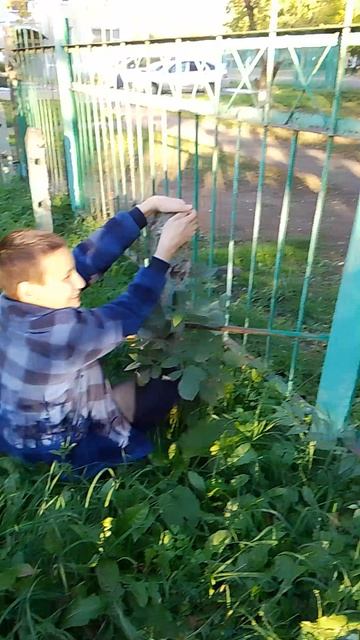 побег из садика часть 1
