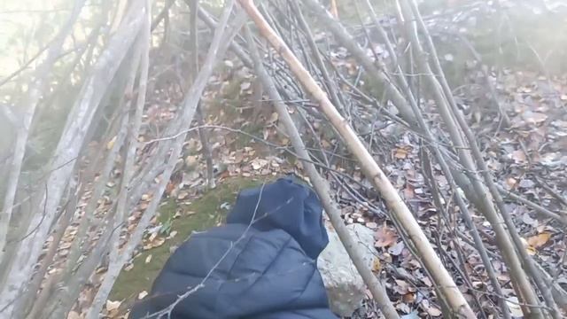 вернулись к шалашу спустя полтора месяца.