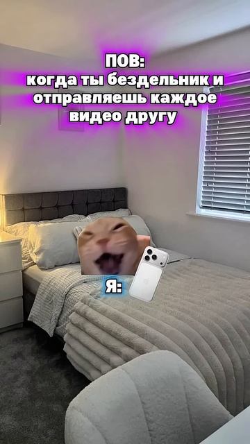 У кого жиза котята мемы жиза шортс