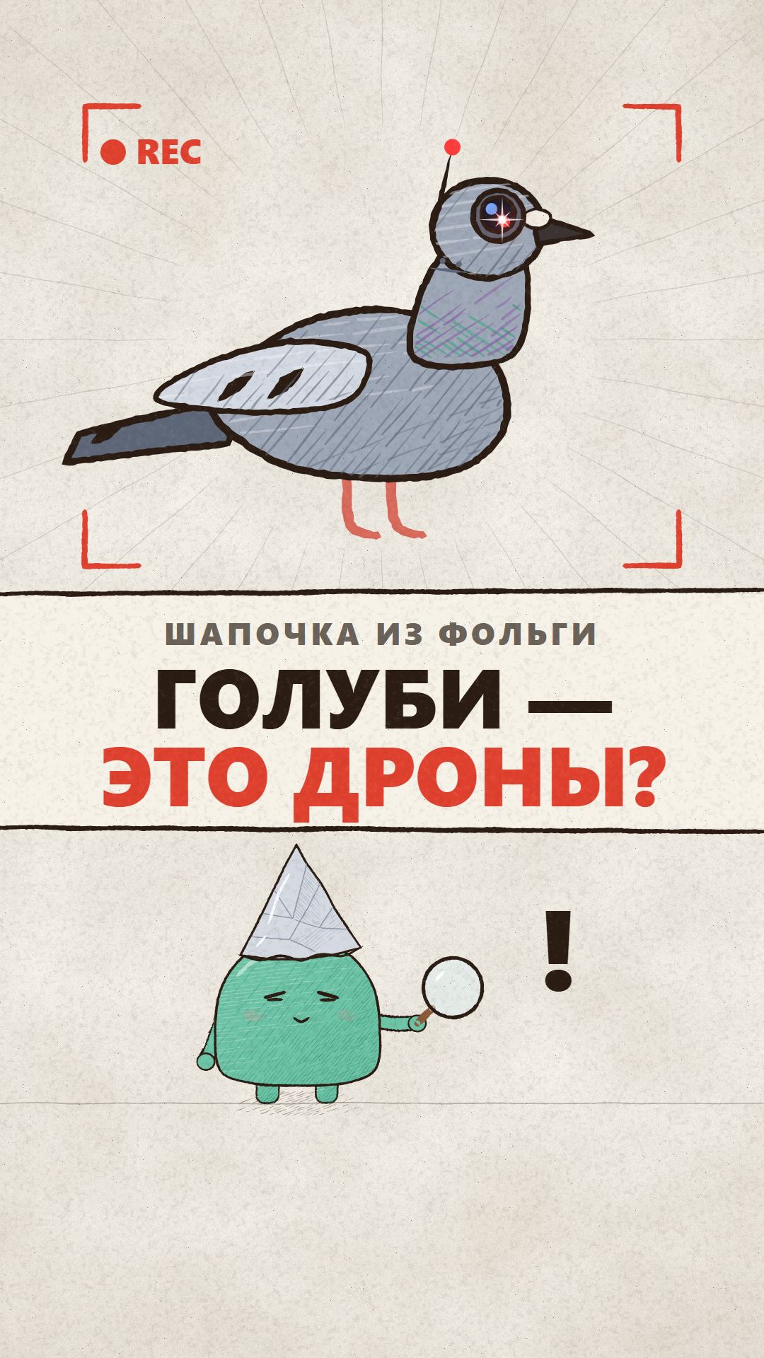 Голуби — это дроны? 🕵️ Шапочка из фольги